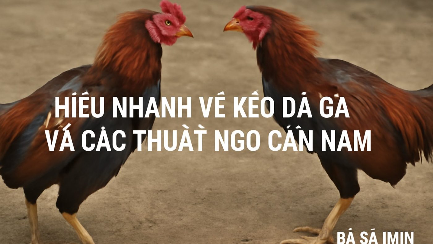 Hiểu nhanh về kèo đá gà và các thuật ngữ cần nắm Minh họa: Hiểu nhanh về kèo đá gà và các thuật ngữ cần nắm